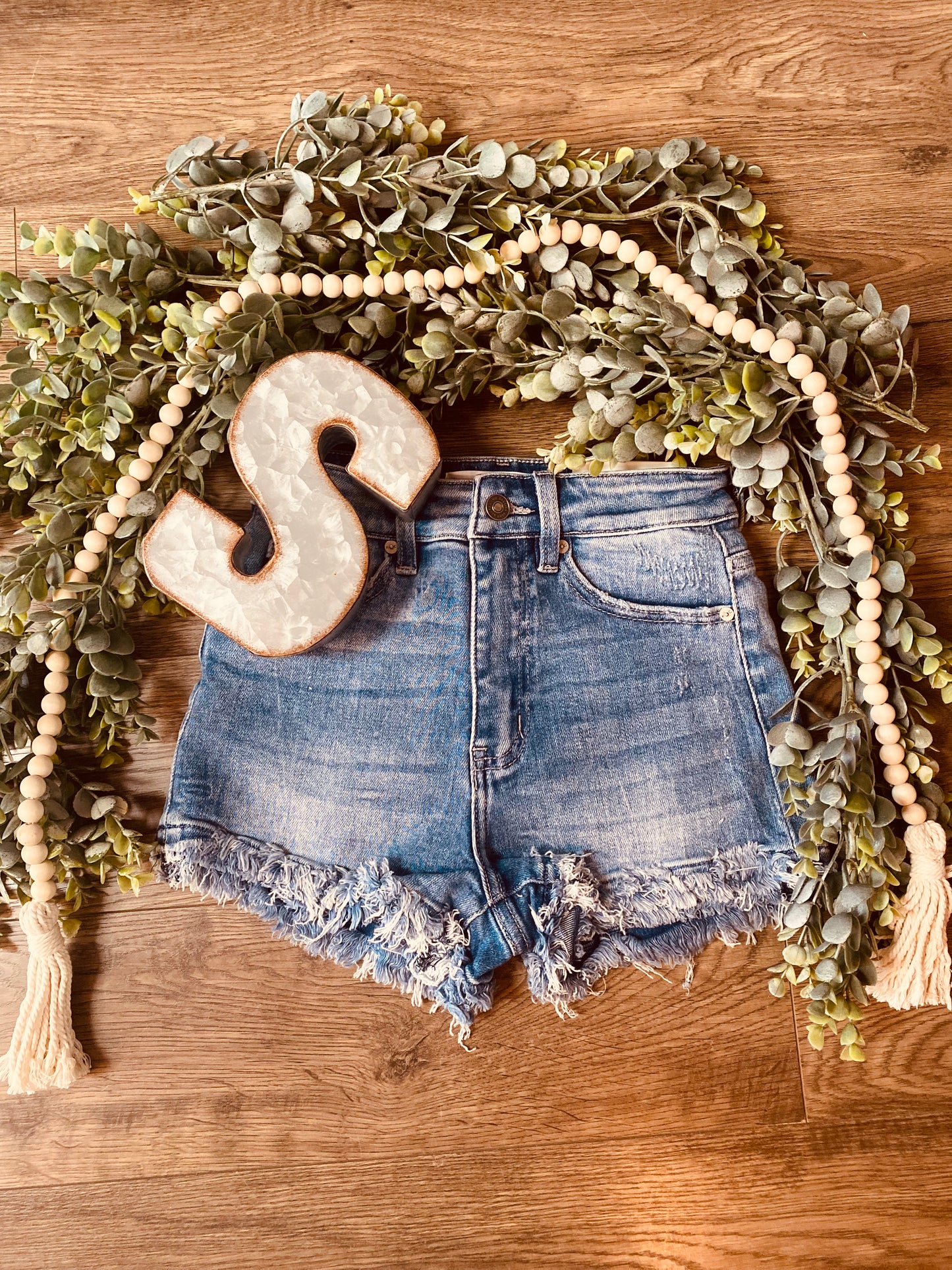 High Rise Fray Hem Denim Shorts